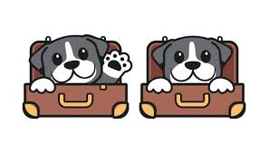 dogs cartoon funny cases boarding business